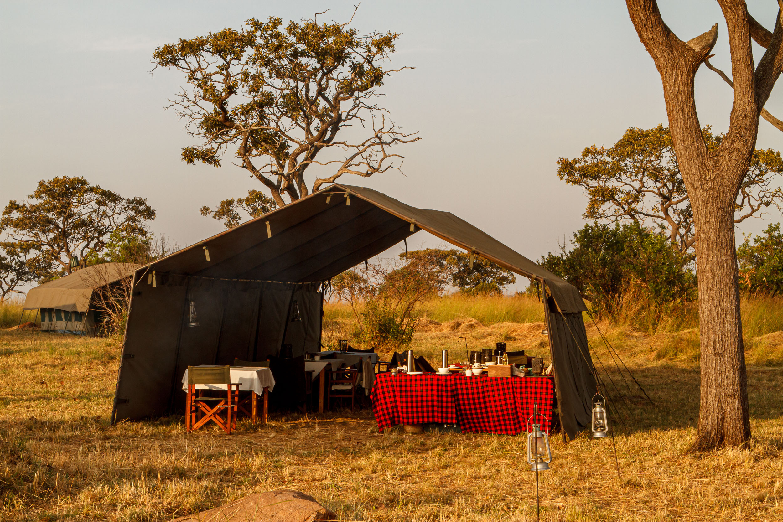 Highlights, Serengeti Mara, Serengeti National Park, Tanzania, mara