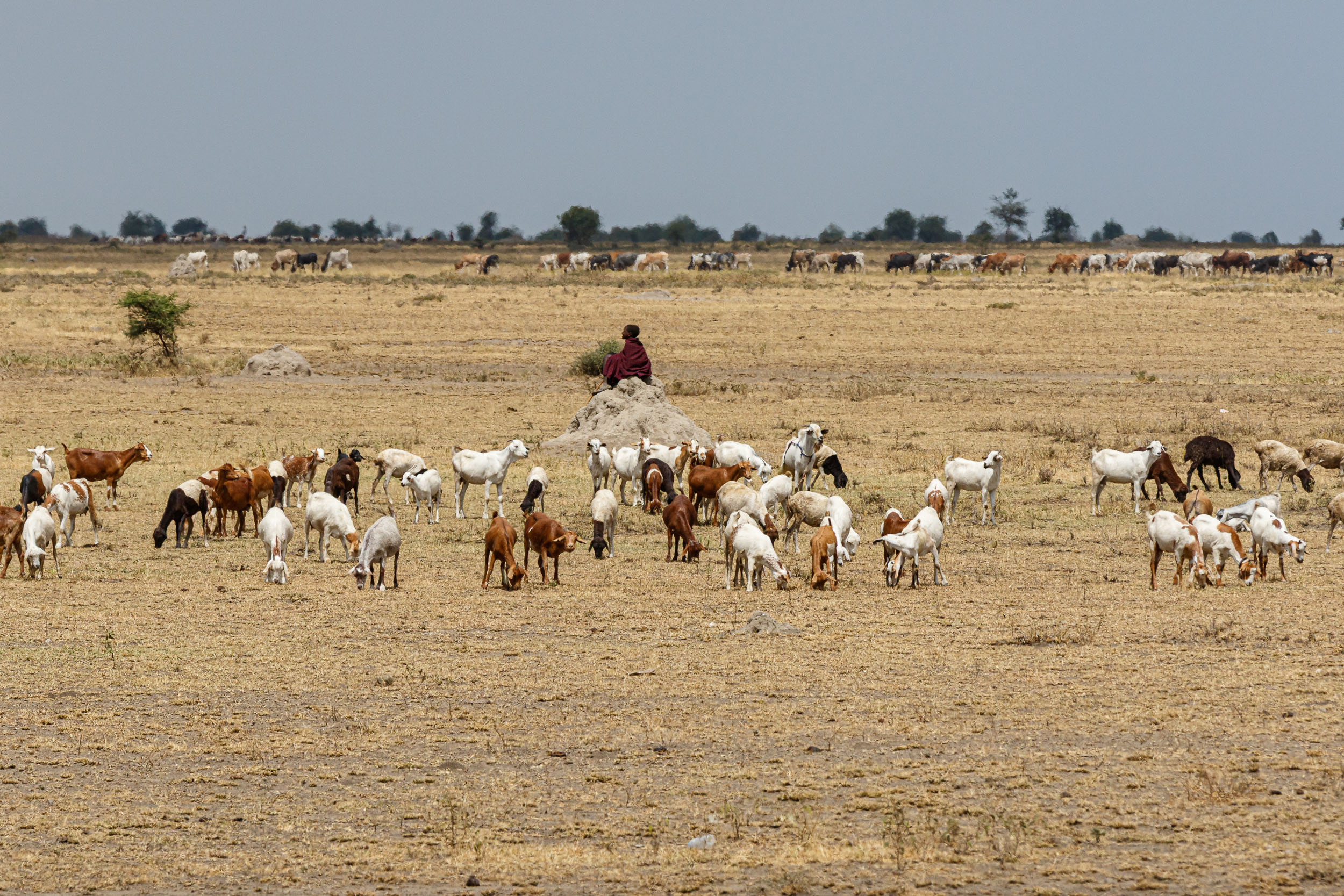 Lake Eyasi, Lake Manyara, Tanzania