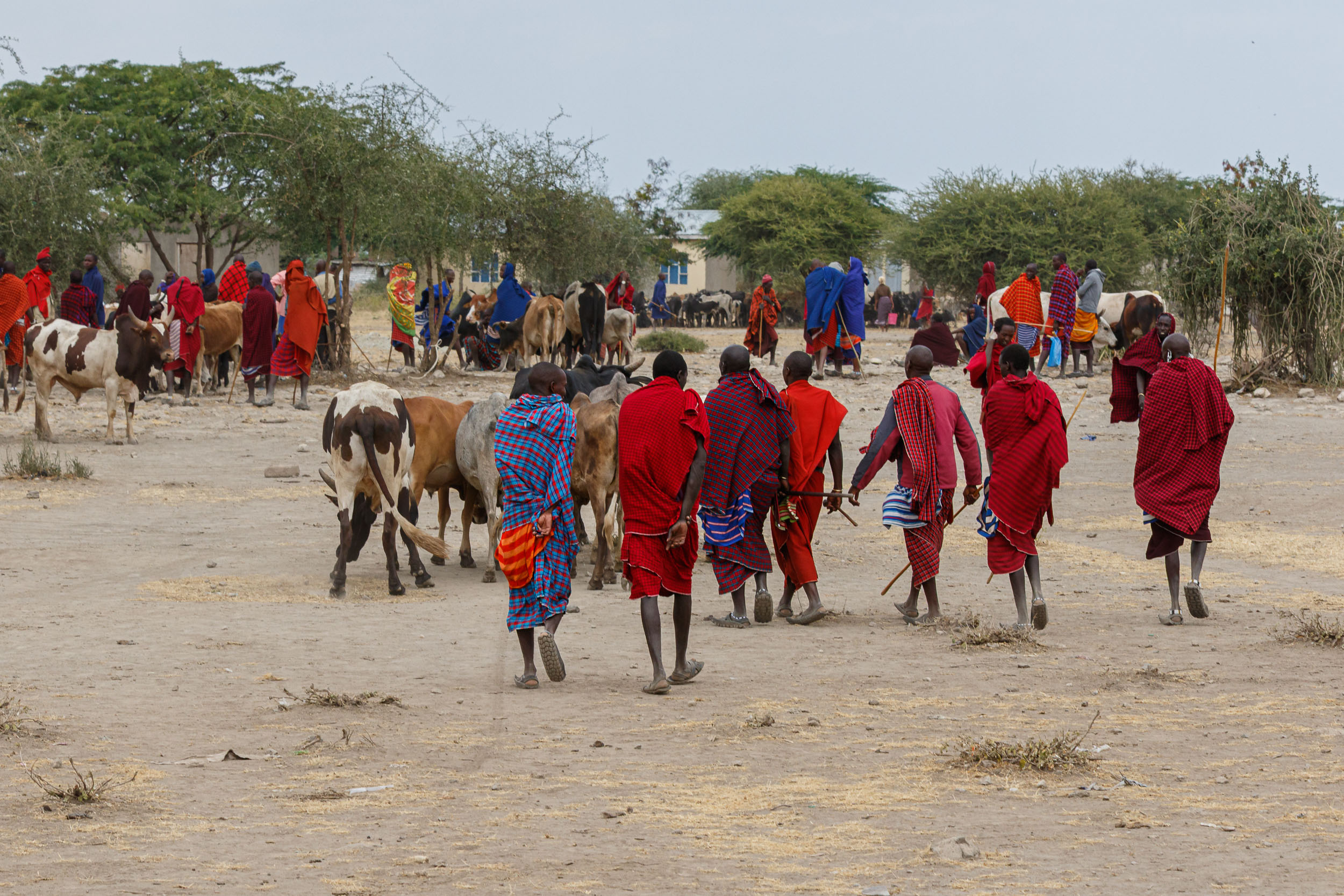 Lake Eyasi, Lake Manyara, Tanzania