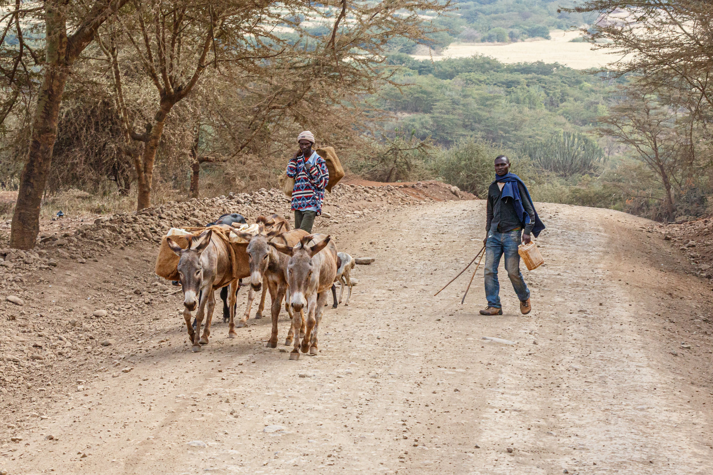Lake Eyasi, Lake Manyara, Tanzania