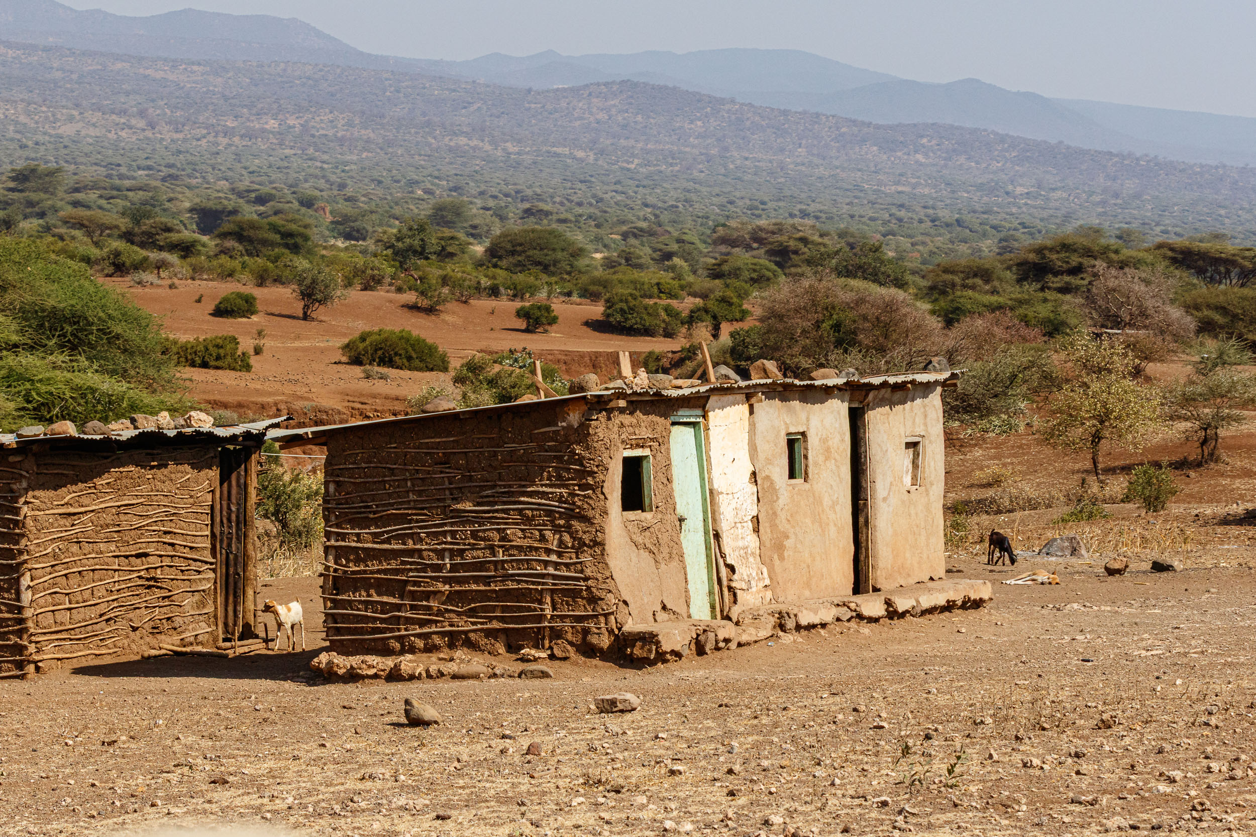 Lake Eyasi, Lake Manyara, Tanzania