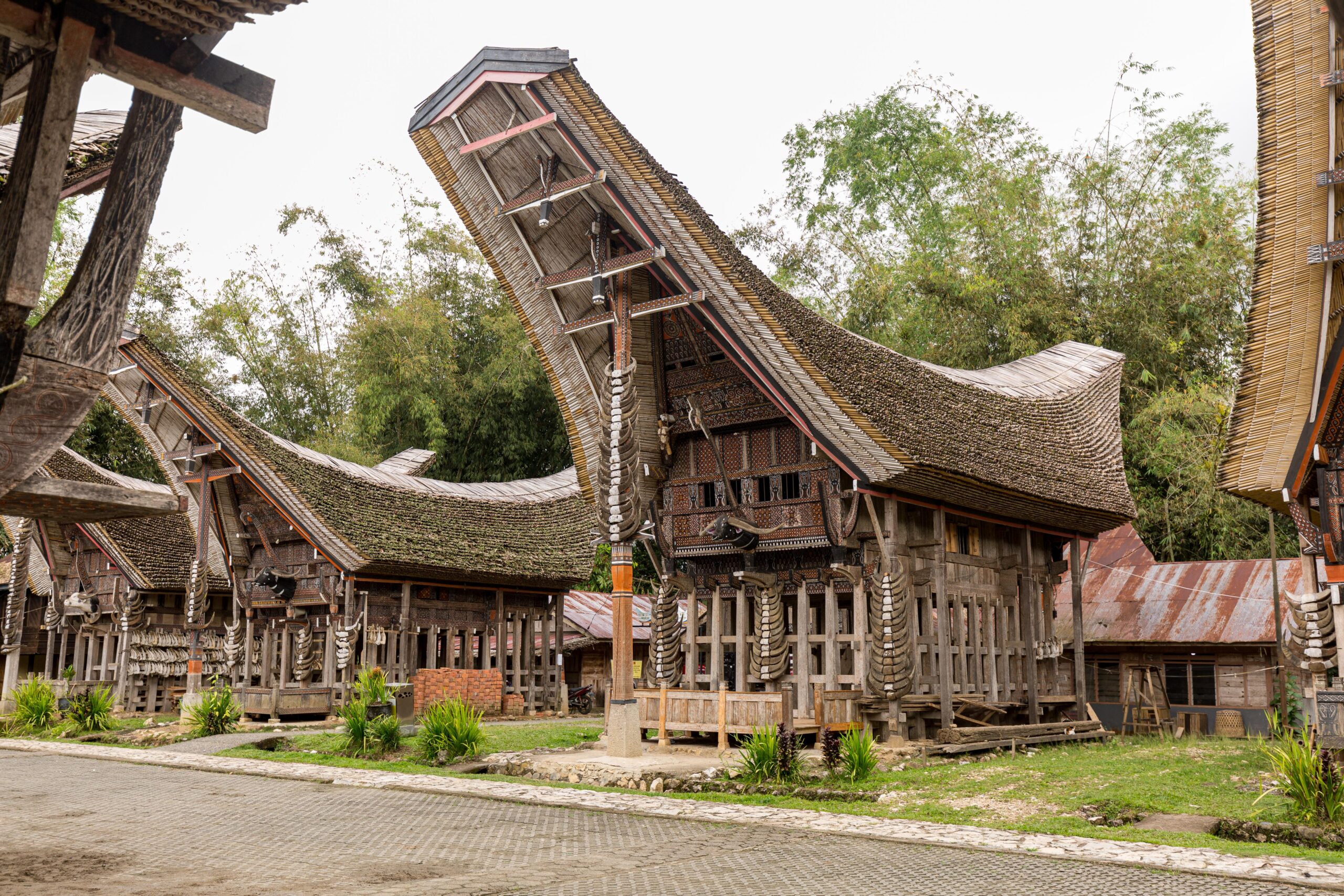 Tongkonan traditional toraja house tana toraja sulawesi