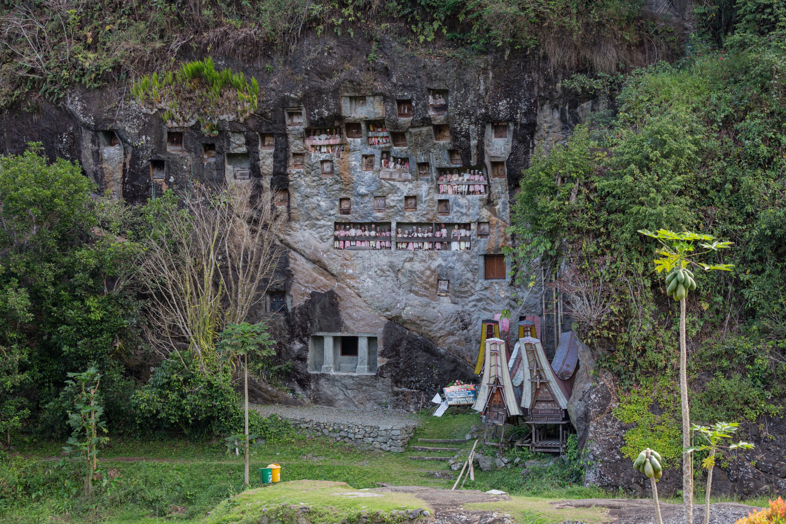 cliff graves lemo tana toraja sulawesi