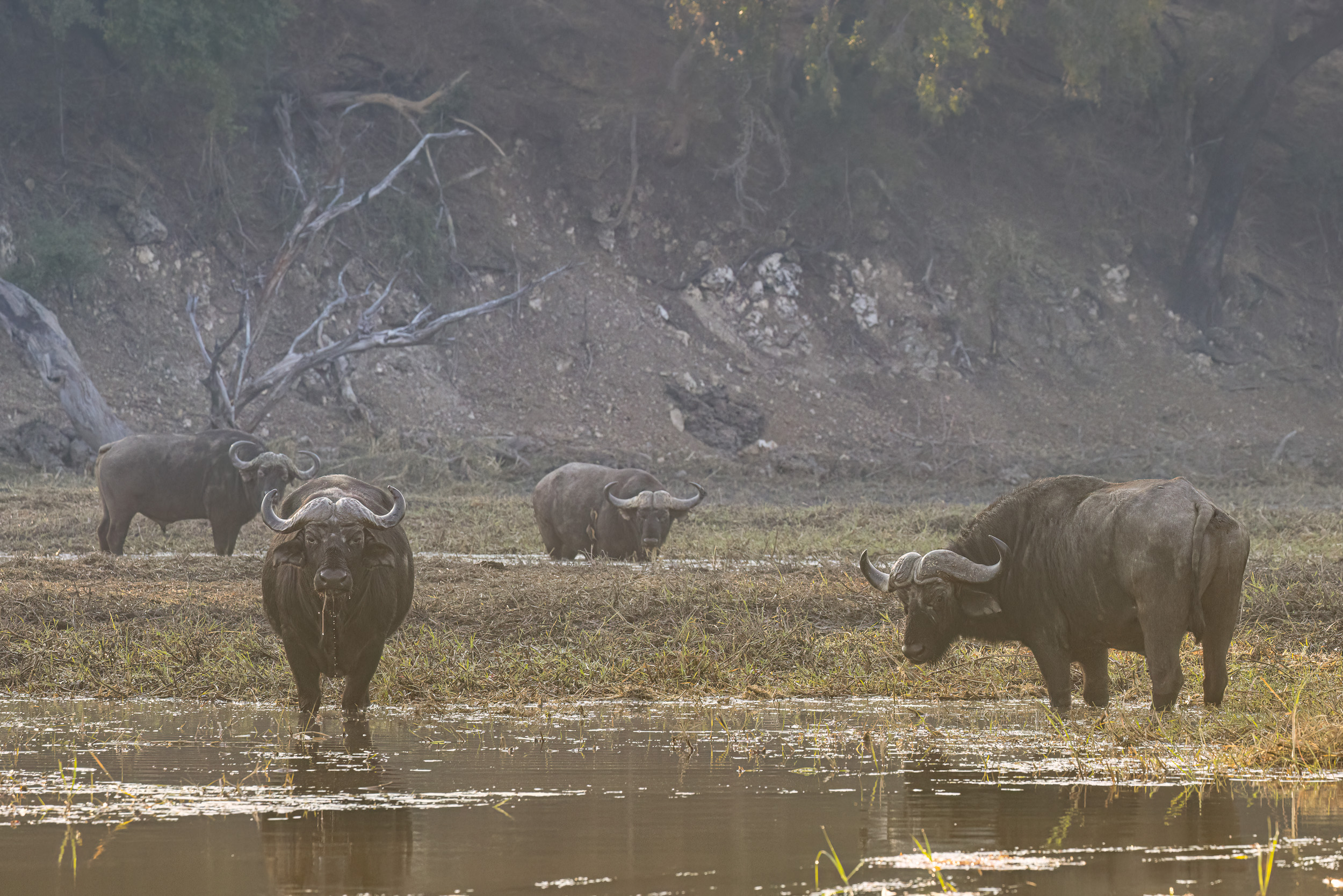 Caprivi, Highlights, Mahango Game Reserve, Namibia, Okavango