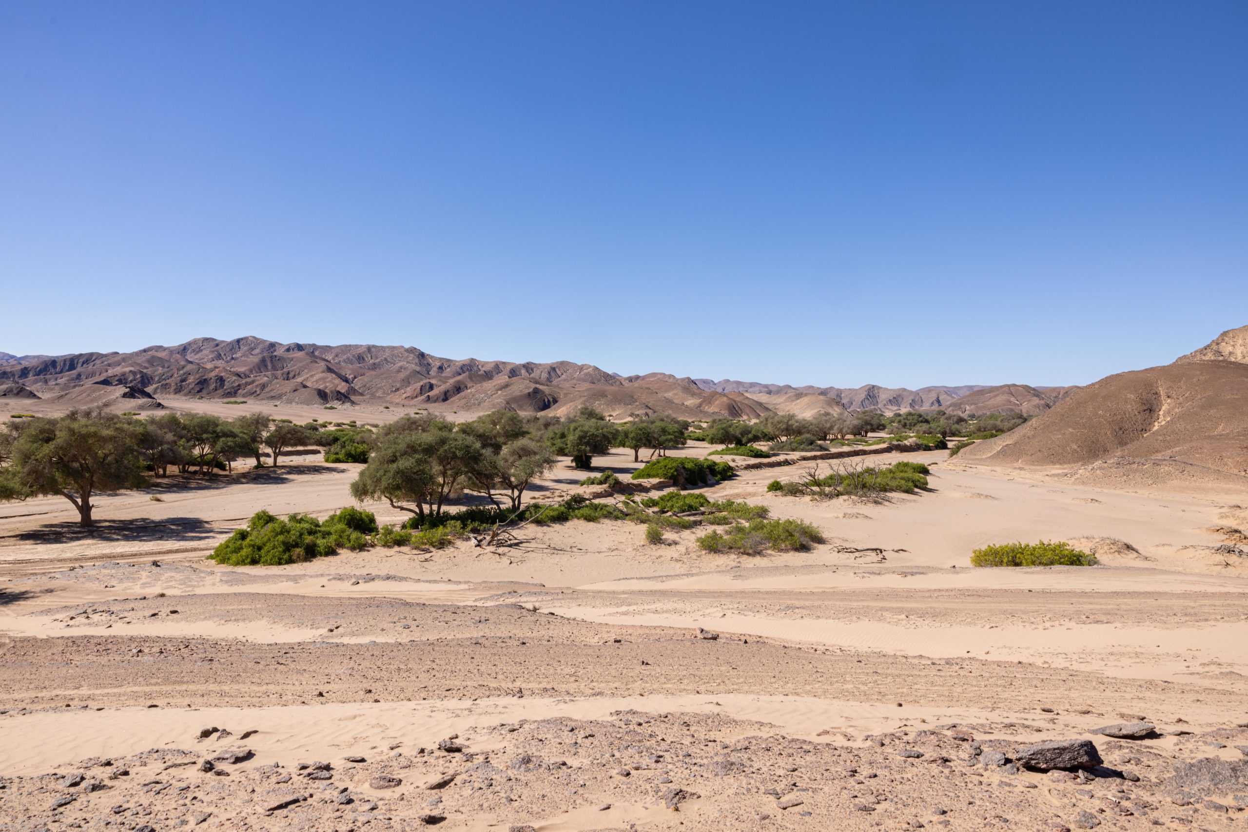 Hoanib river valley landscape in Kaokoland, northwestern Namibia