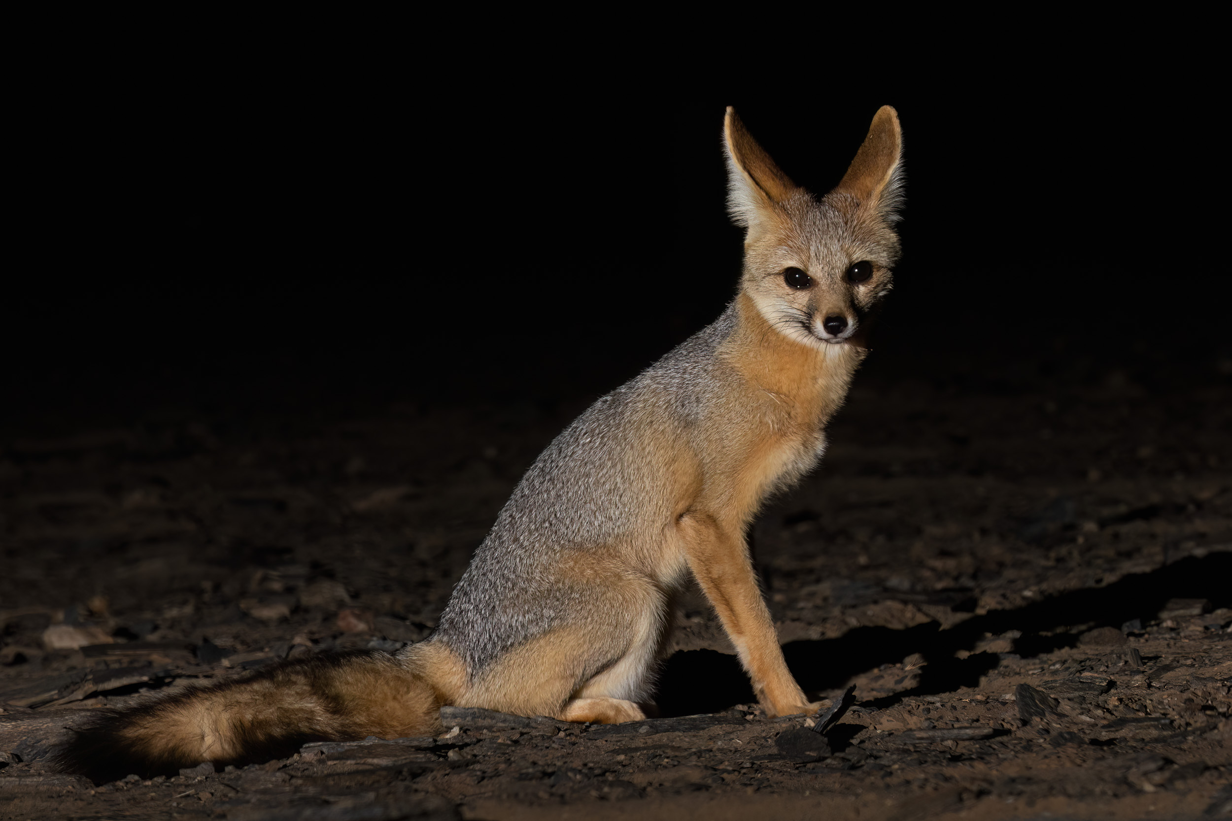 Hoanib, Namibia