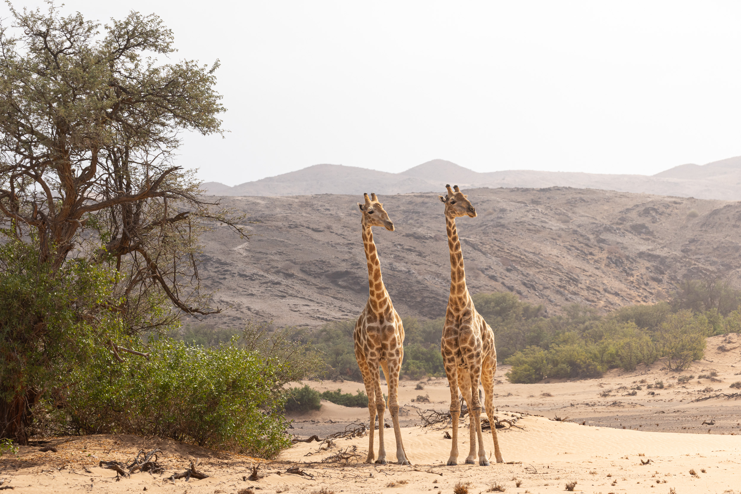 Aba-Huab, Huab, Namibia