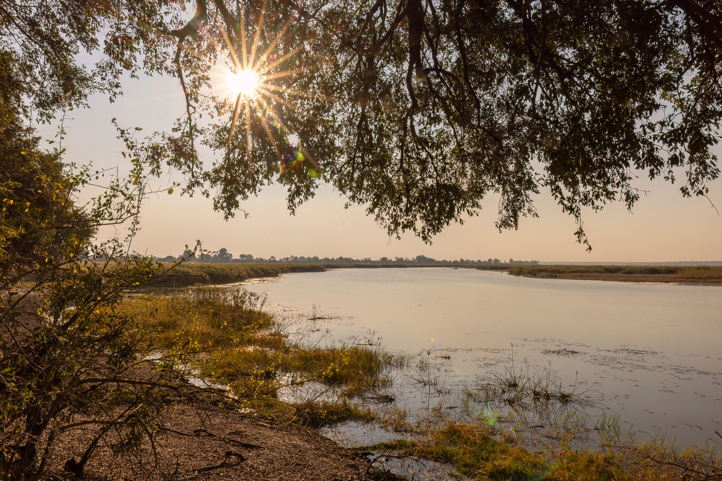 Caprivi, Highlights, Mahango Game Reserve, Namibia, Okavango