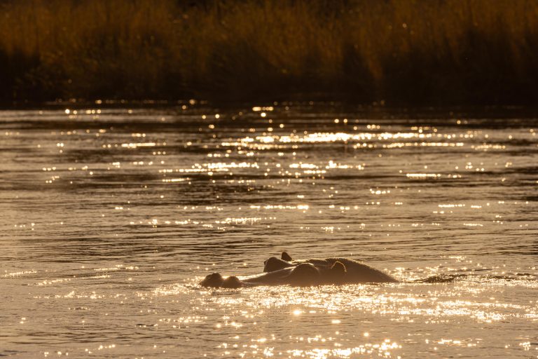 Zambezi Region: Mahango & Kavango River