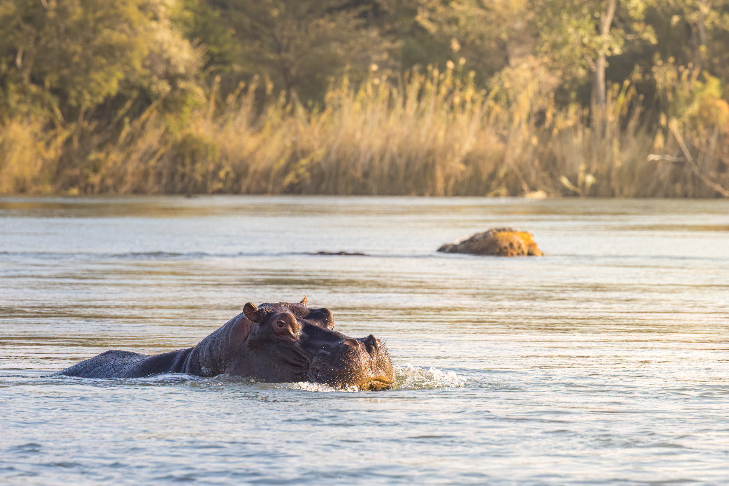 Caprivi, Highlights, Namibia, Okavango