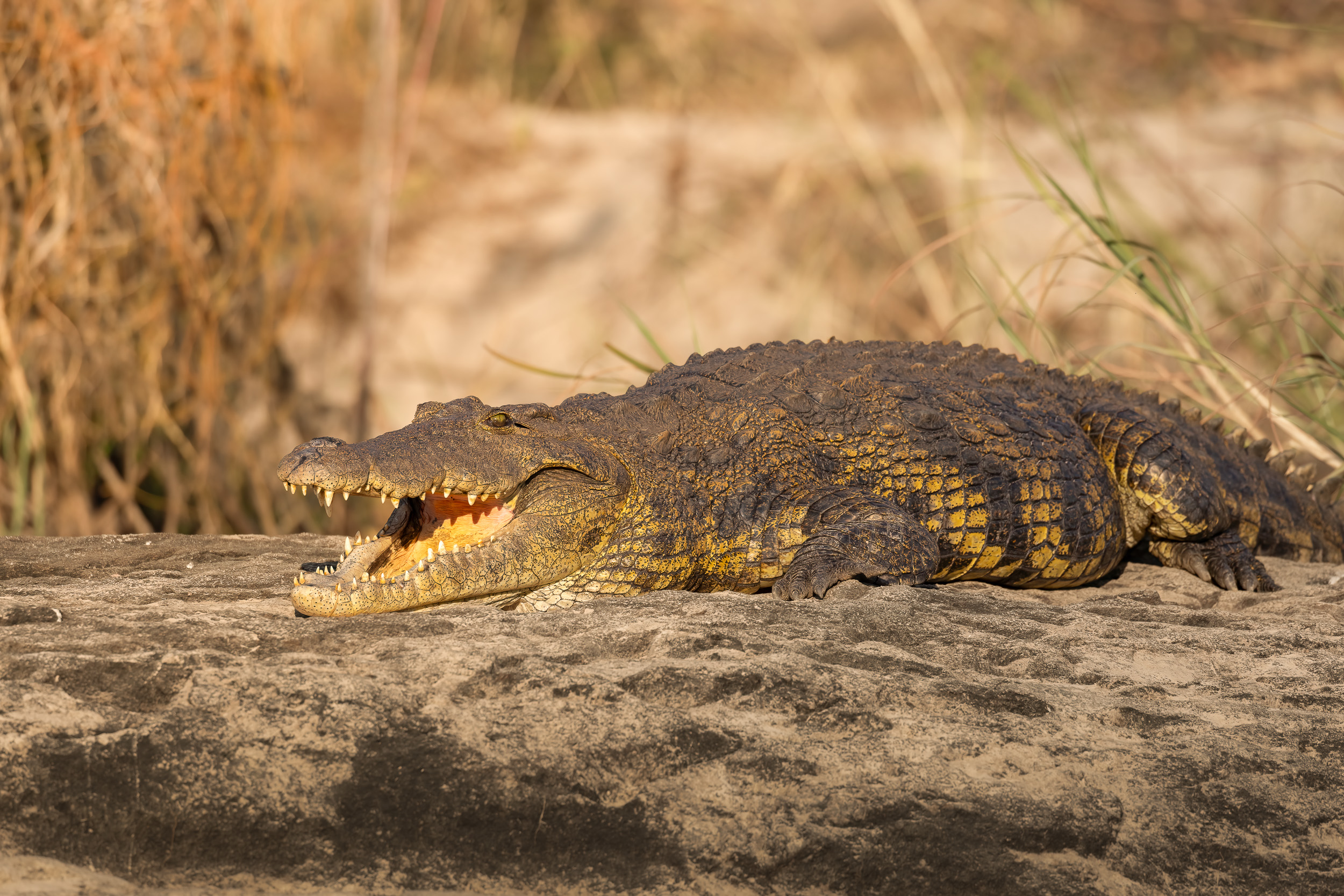 Caprivi, Highlights, Namibia, Okavango