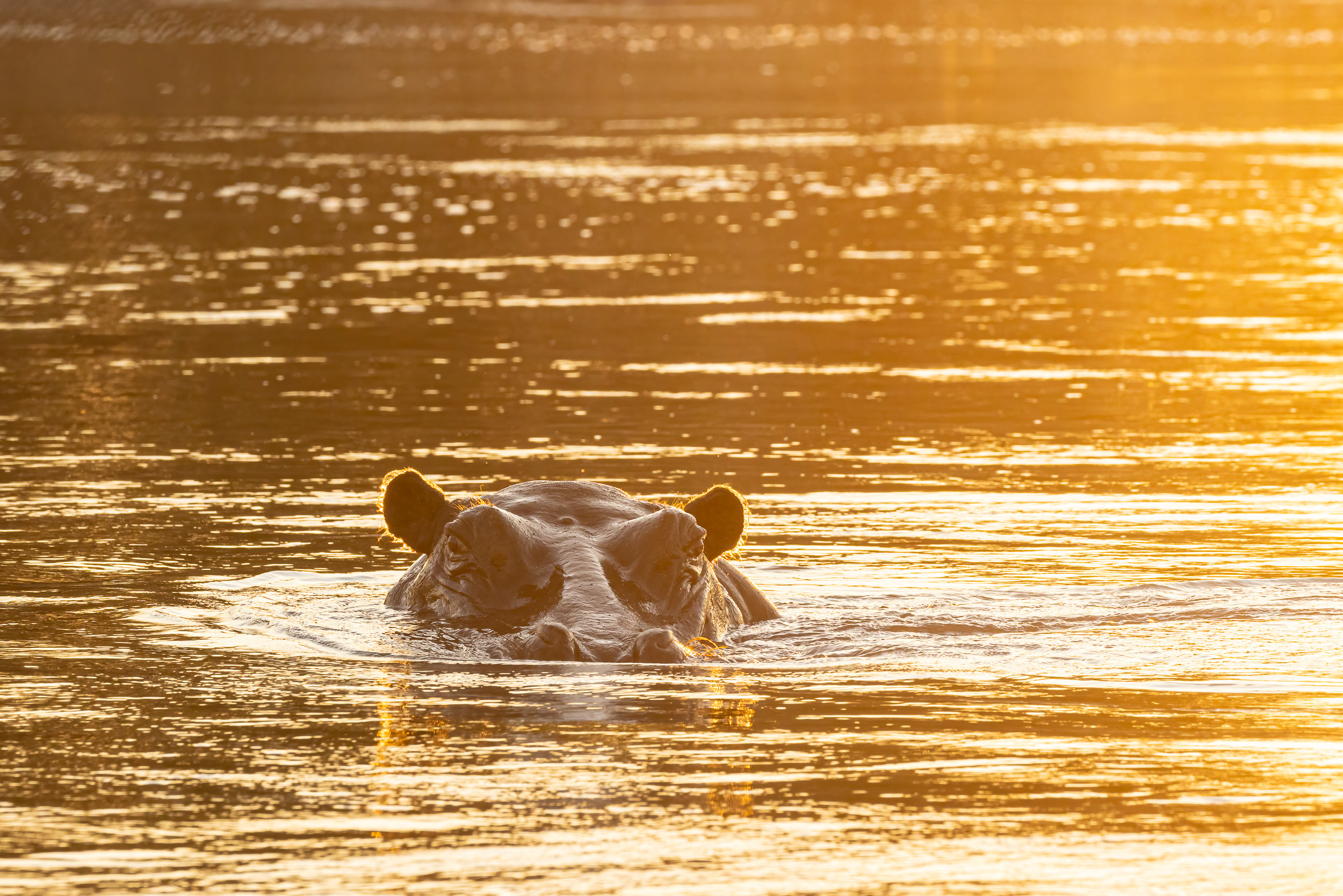Caprivi, Highlights, Namibia, Okavango