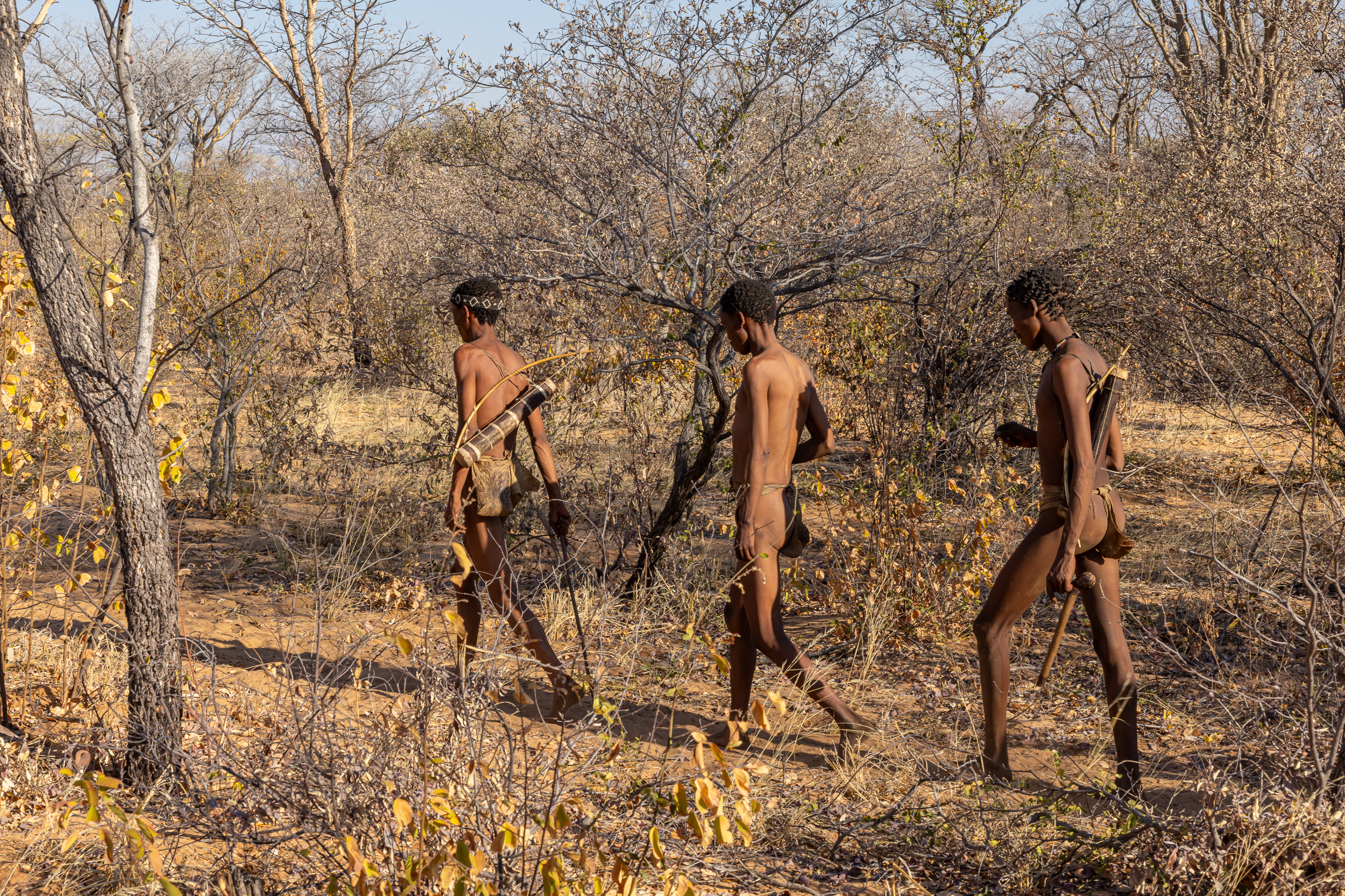 Highlights, Ju/'Hoansi San, Namibia, San
