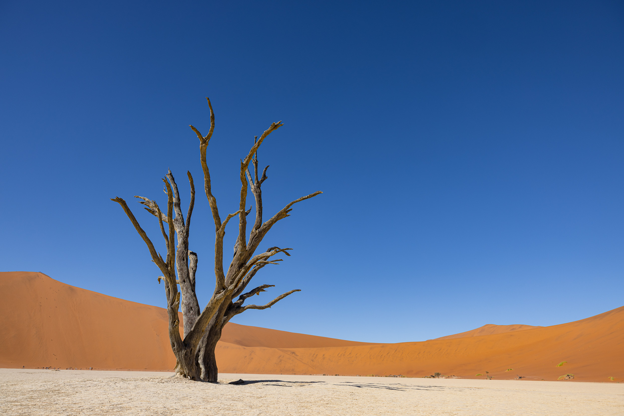 Duniart, Highlights, Namibia, Sossusvlei