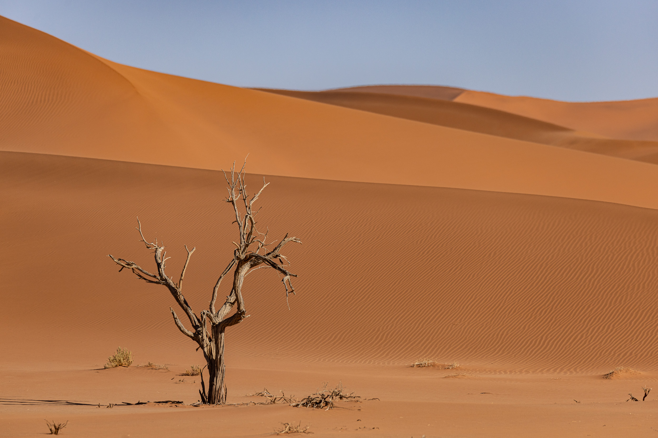 Duniart, Highlights, Namibia, Sossusvlei