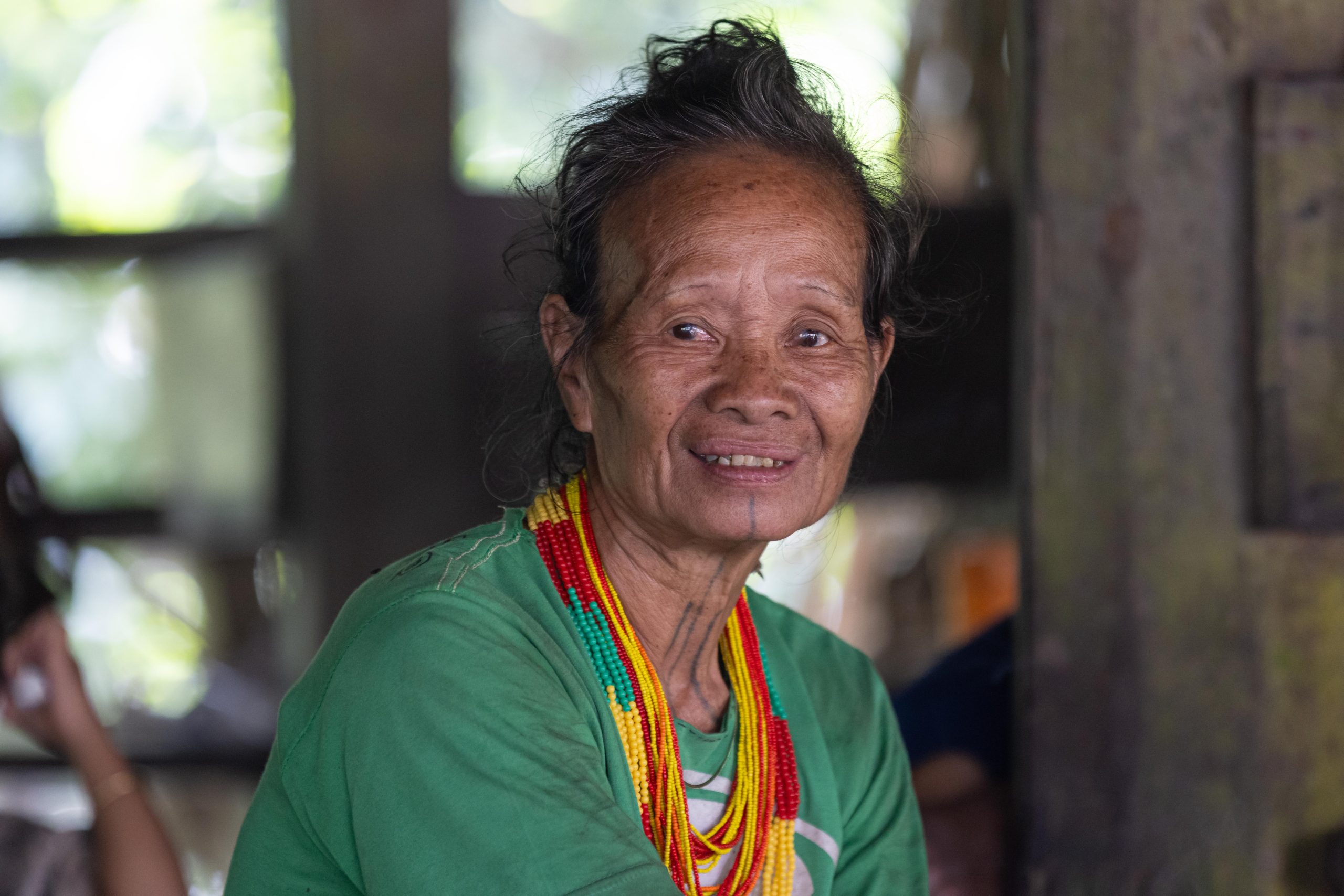 Highlights, Indonesia, Mentawai, Sakuddei, Siberut