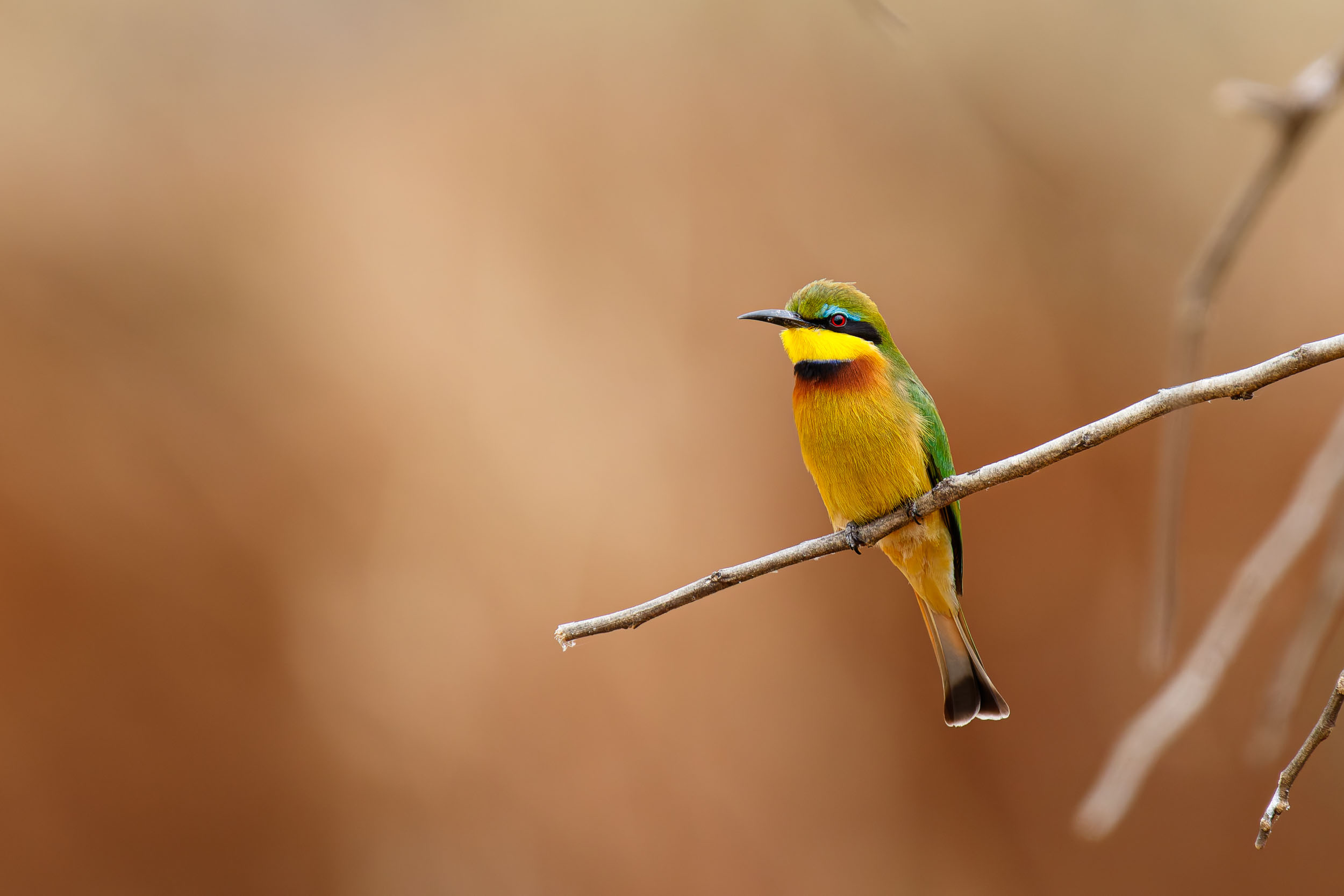 Tanzania, Tarangire National Park
