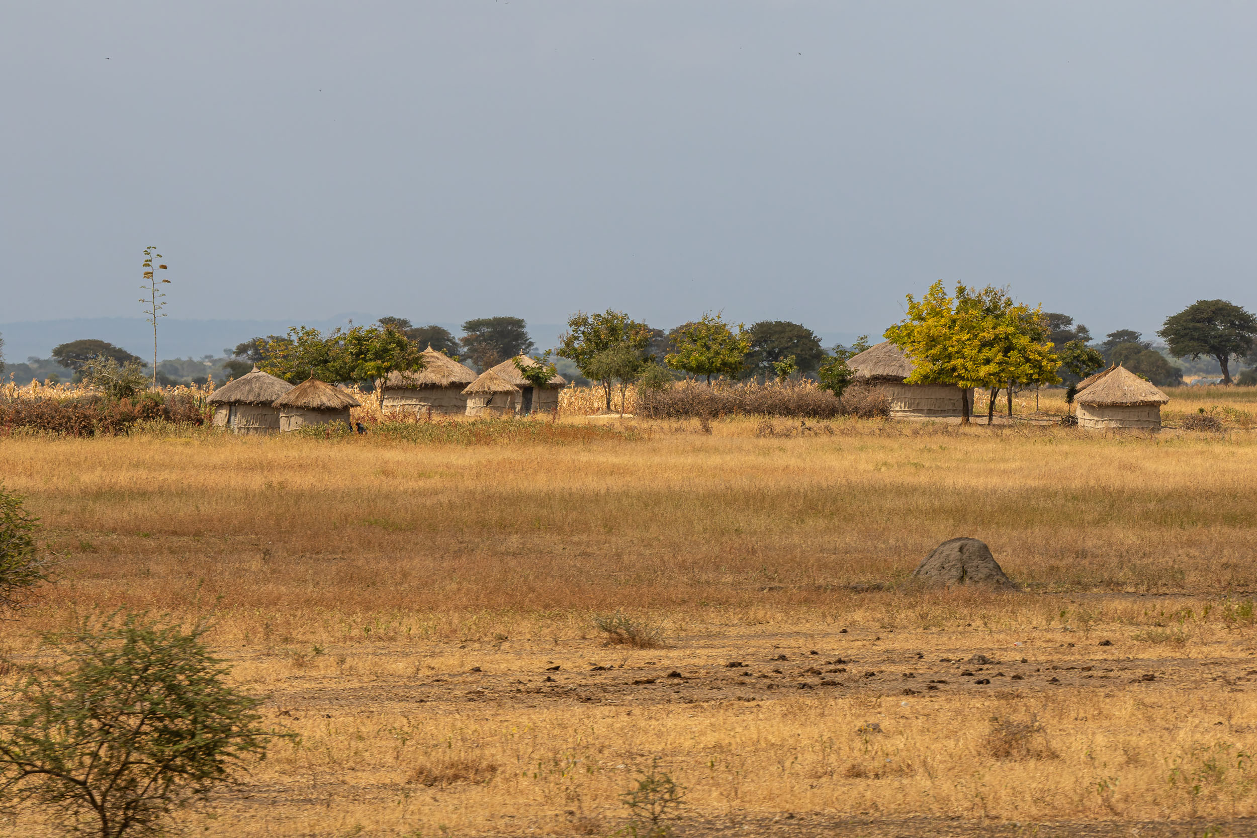 Lake Eyasi, Lake Manyara, Maasai, Tanzania