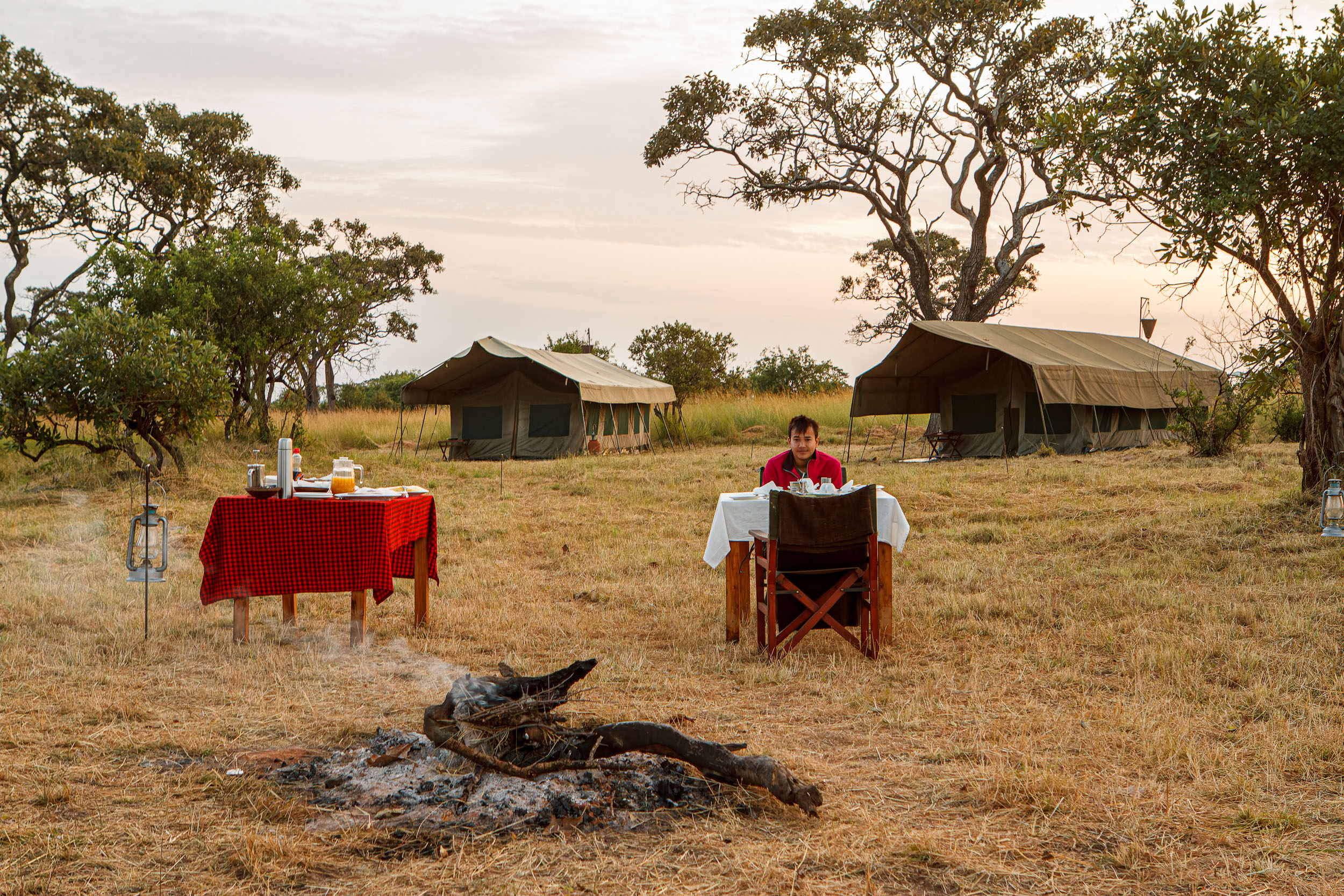 Highlights, Serengeti Mara, Serengeti National Park, Tanzania, mara