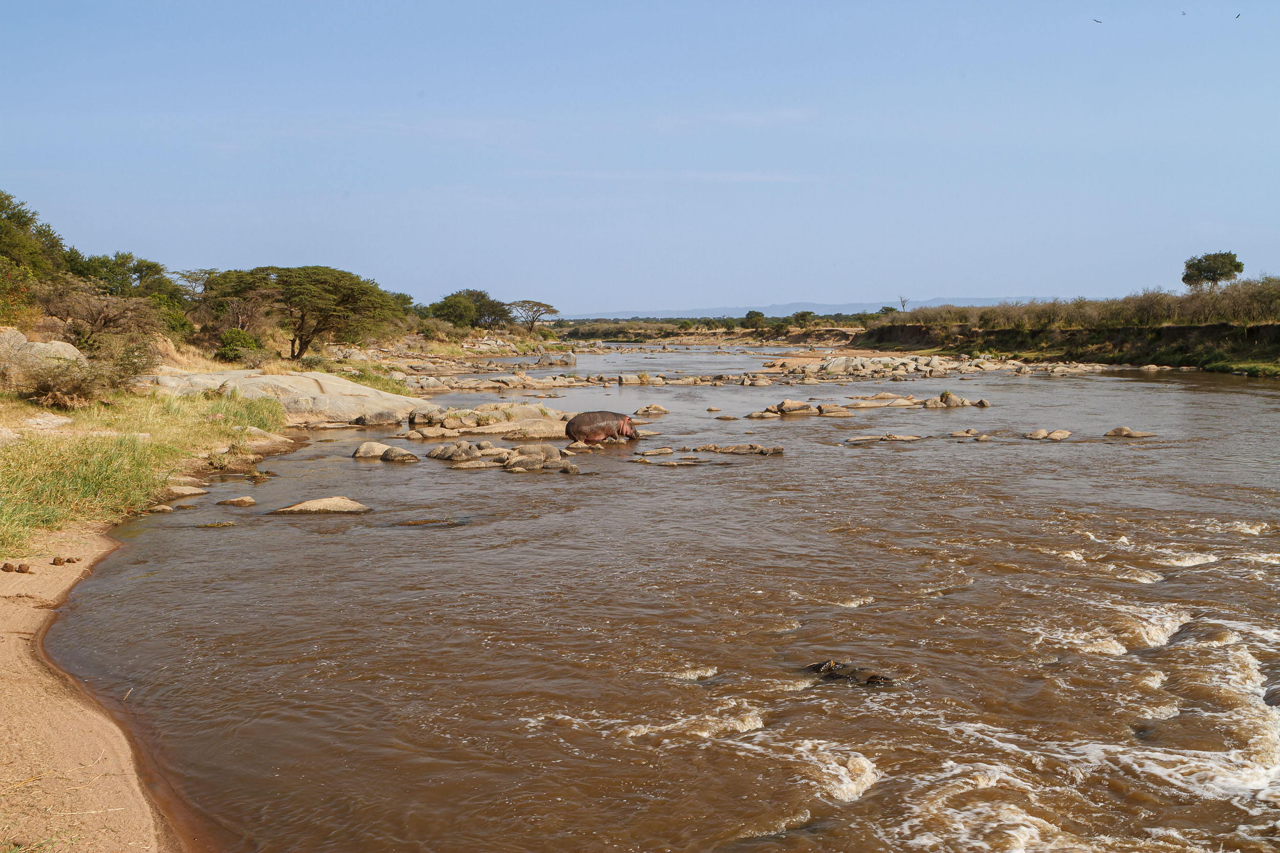 Highlights, Serengeti Mara, Serengeti National Park, Tanzania, mara