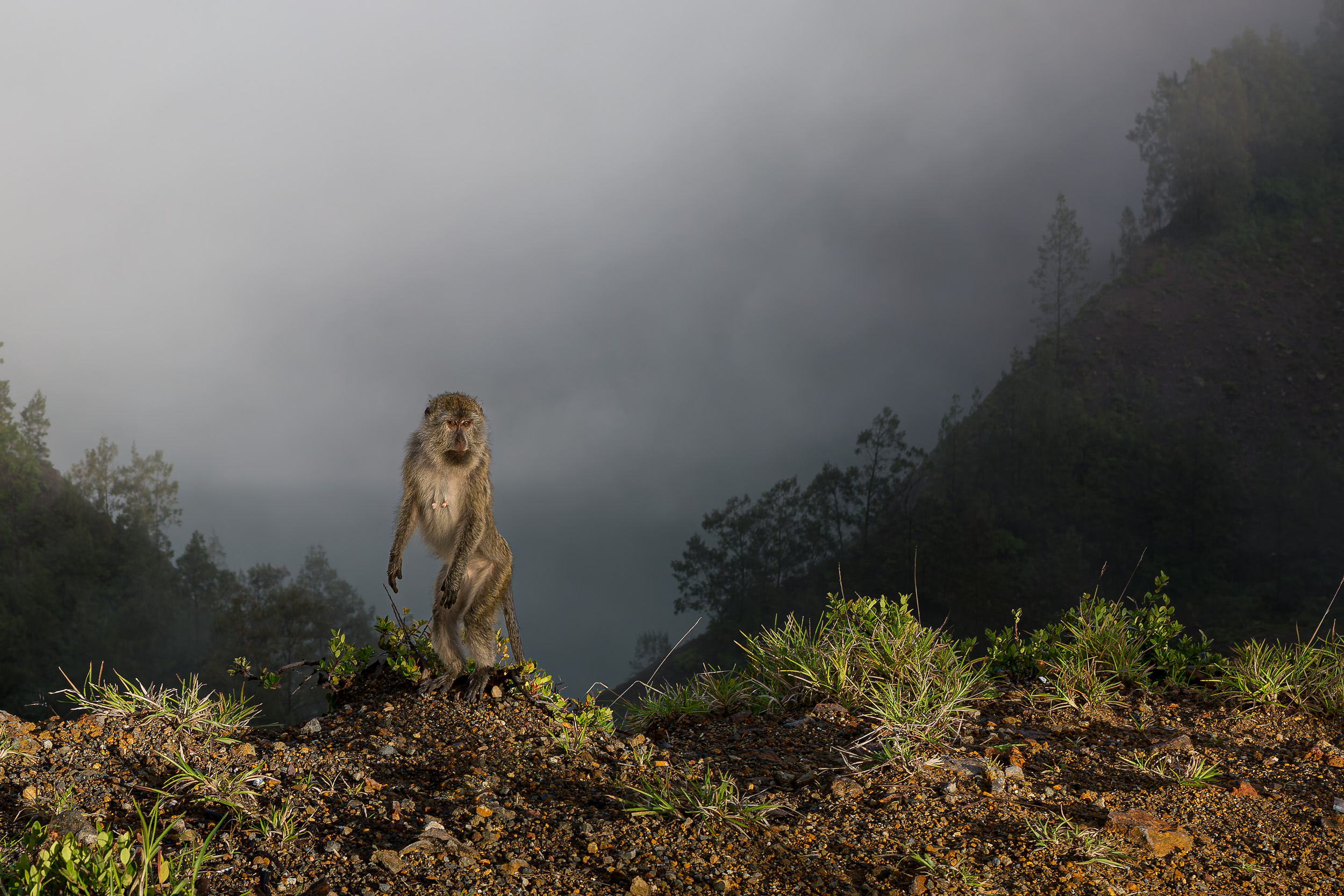 Indonesia, flores, kelimutu