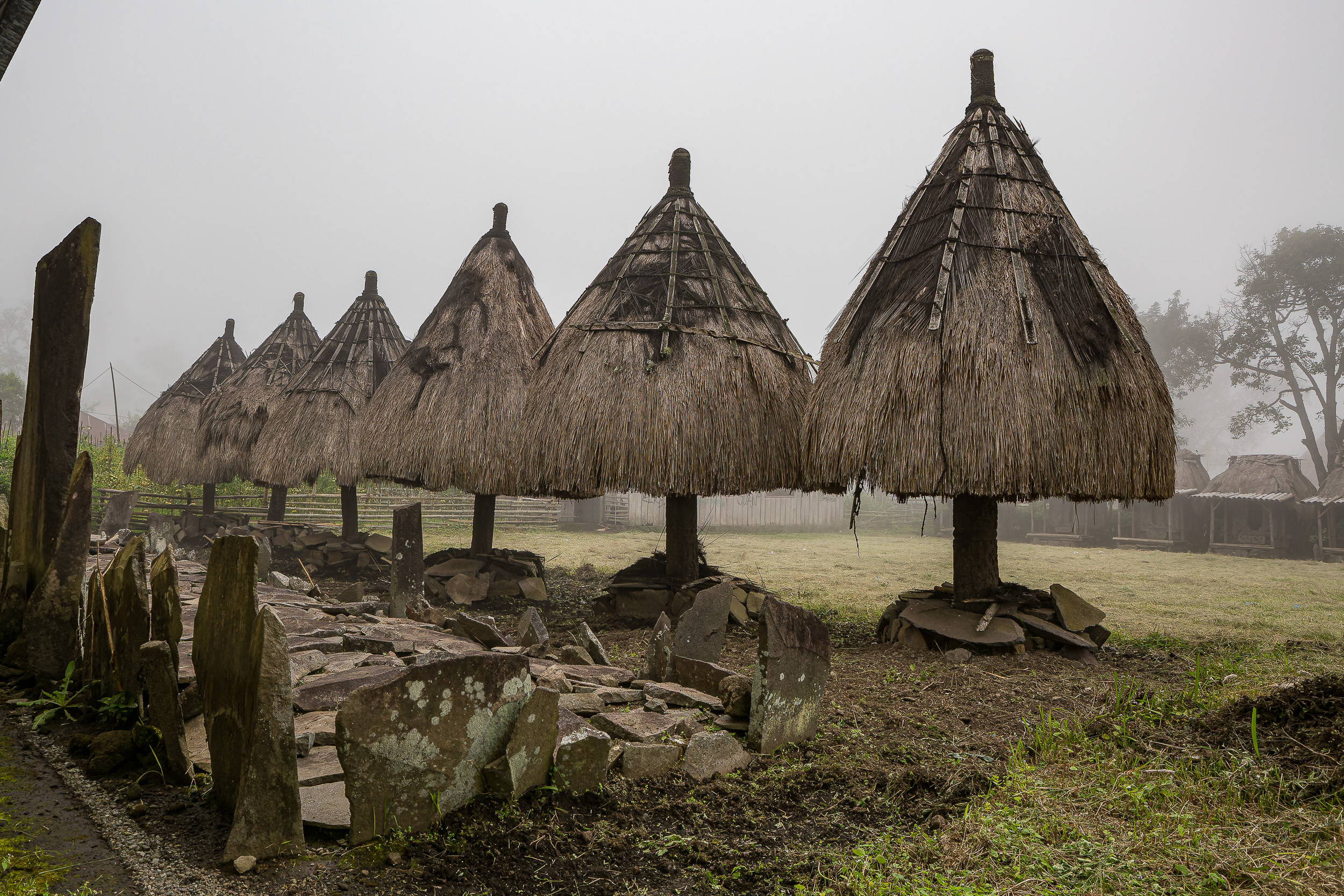 Indonesia, bajawa, flores